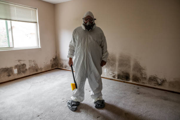 Mena, AR Mold Remediation Company